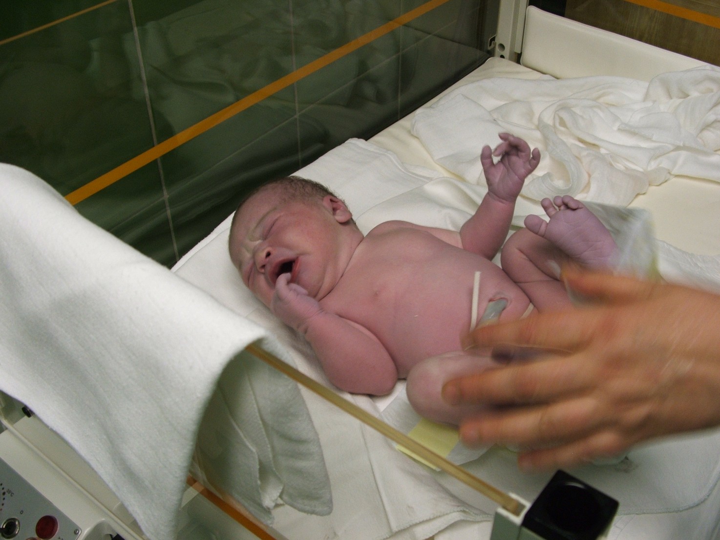 DSCF1052.JPG